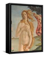 The Birth of Venus (Detail)-Sandro Botticelli-Framed Stretched Canvas