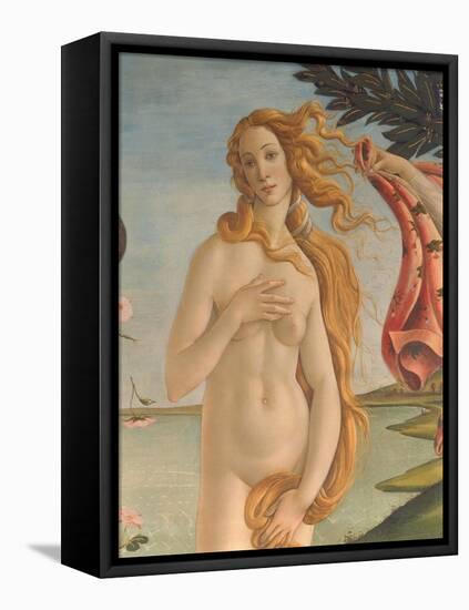 The Birth of Venus (Detail)-Sandro Botticelli-Framed Stretched Canvas