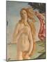 The Birth of Venus (Detail)-Sandro Botticelli-Mounted Giclee Print