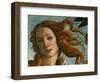 The Birth of Venus (Head of Venus), 1486-Sandro Botticelli-Framed Premium Giclee Print