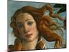 The Birth of Venus (Head of Venus), 1486-Sandro Botticelli-Mounted Premium Giclee Print