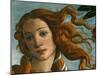 The Birth of Venus (Head of Venus), 1486-Sandro Botticelli-Mounted Premium Giclee Print