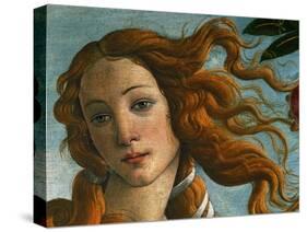 The Birth of Venus (Head of Venus), 1486-Sandro Botticelli-Stretched Canvas