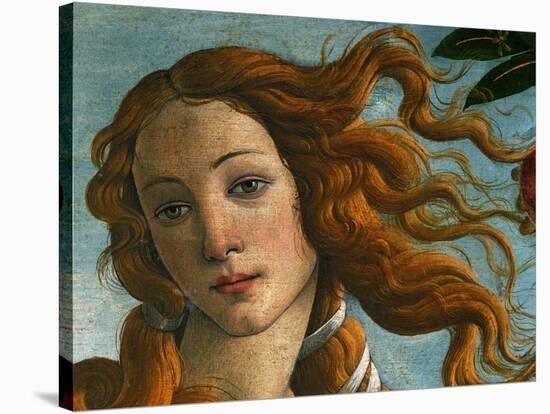 The Birth of Venus (Head of Venus), 1486-Sandro Botticelli-Stretched Canvas