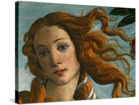 The Birth of Venus (Head of Venus), 1486-Sandro Botticelli-Stretched Canvas