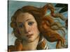 The Birth of Venus (Head of Venus), 1486-Sandro Botticelli-Stretched Canvas