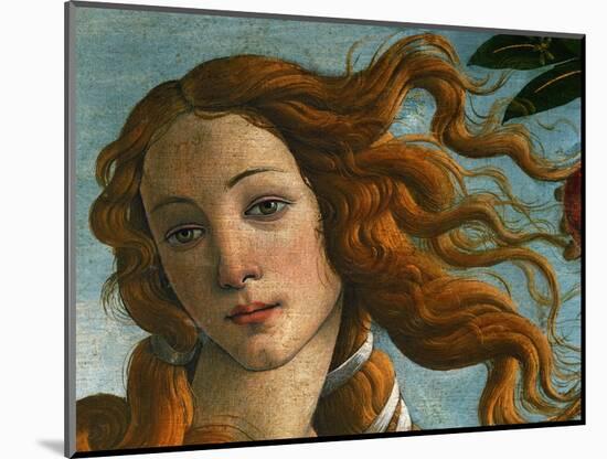 The Birth of Venus (Head of Venus), 1486-Sandro Botticelli-Mounted Giclee Print