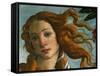 The Birth of Venus (Head of Venus), 1486-Sandro Botticelli-Framed Stretched Canvas