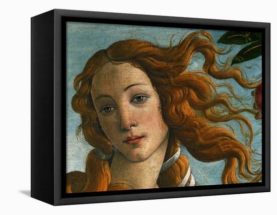 The Birth of Venus (Head of Venus), 1486-Sandro Botticelli-Framed Stretched Canvas