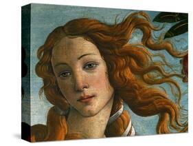 The Birth of Venus (Head of Venus), 1486-Sandro Botticelli-Stretched Canvas