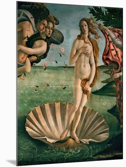 The Birth of Venus (Venus Anadyomene), Detail-Sandro Botticelli-Mounted Giclee Print