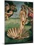 The Birth of Venus (Venus Anadyomene), Detail-Sandro Botticelli-Mounted Giclee Print