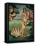 The Birth of Venus (Venus Anadyomene), Detail-Sandro Botticelli-Framed Stretched Canvas
