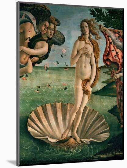The Birth of Venus (Venus Anadyomene), Detail-Sandro Botticelli-Mounted Giclee Print