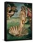 The Birth of Venus (Venus Anadyomene), Detail-Sandro Botticelli-Framed Stretched Canvas