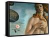 The Birth of Venus (Venus Anadyomene), Detail-Sandro Botticelli-Framed Stretched Canvas