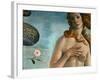 The Birth of Venus (Venus Anadyomene), Detail-Sandro Botticelli-Framed Giclee Print