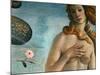 The Birth of Venus (Venus Anadyomene), Detail-Sandro Botticelli-Mounted Giclee Print