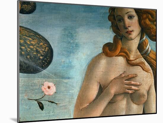 The Birth of Venus (Venus Anadyomene), Detail-Sandro Botticelli-Mounted Giclee Print