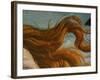 The Birth of Venus (Venus Anadyomene), Detail-Sandro Botticelli-Framed Giclee Print