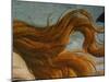 The Birth of Venus (Venus Anadyomene), Detail-Sandro Botticelli-Mounted Giclee Print