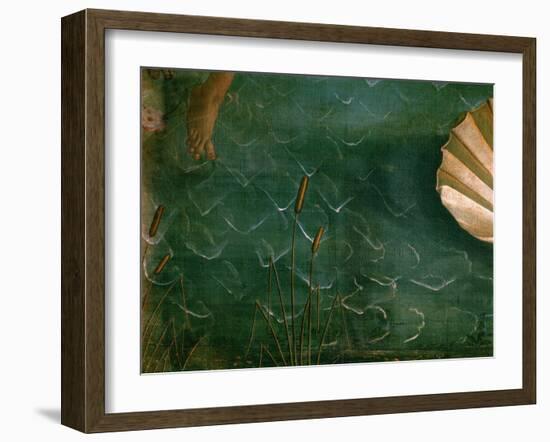 The Birth of Venus (Venus Anadyomene)-Sandro Botticelli-Framed Giclee Print