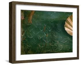 The Birth of Venus (Venus Anadyomene)-Sandro Botticelli-Framed Giclee Print