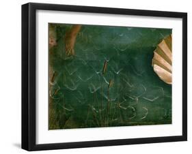 The Birth of Venus (Venus Anadyomene)-Sandro Botticelli-Framed Giclee Print