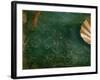 The Birth of Venus (Venus Anadyomene)-Sandro Botticelli-Framed Giclee Print