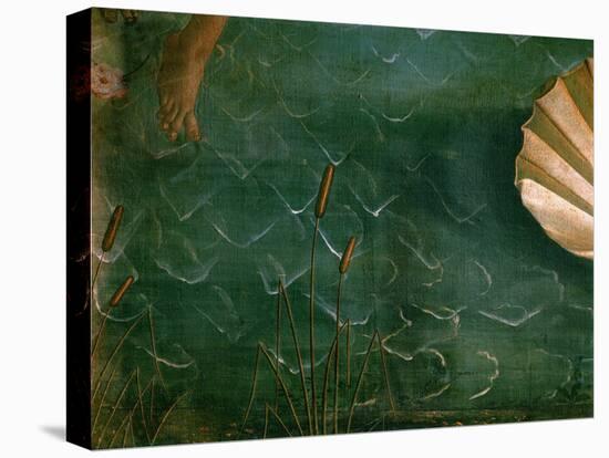 The Birth of Venus (Venus Anadyomene)-Sandro Botticelli-Stretched Canvas