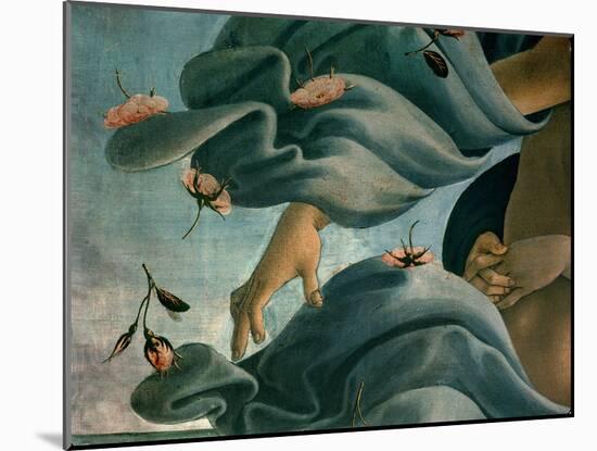 The Birth of Venus (Venus Anadyomene)-Sandro Botticelli-Mounted Giclee Print