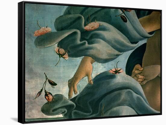 The Birth of Venus (Venus Anadyomene)-Sandro Botticelli-Framed Stretched Canvas