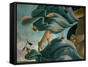 The Birth of Venus (Venus Anadyomene)-Sandro Botticelli-Framed Stretched Canvas