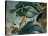 The Birth of Venus (Venus Anadyomene)-Sandro Botticelli-Stretched Canvas