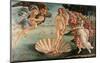 The Birth of Venus-Sandro Botticelli-Mounted Giclee Print