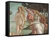 The Birth of Venus-Sandro Botticelli-Framed Stretched Canvas