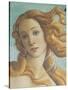 The Birth of Venus-Sandro Botticelli-Stretched Canvas