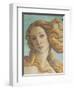 The Birth of Venus-Sandro Botticelli-Framed Giclee Print