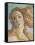 The Birth of Venus-Sandro Botticelli-Framed Stretched Canvas