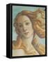 The Birth of Venus-Sandro Botticelli-Framed Stretched Canvas