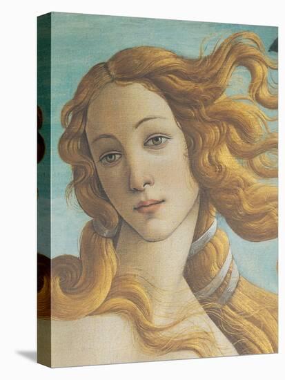 The Birth of Venus-Sandro Botticelli-Stretched Canvas