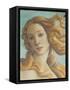 The Birth of Venus-Sandro Botticelli-Framed Stretched Canvas