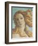 The Birth of Venus-Sandro Botticelli-Framed Premium Giclee Print