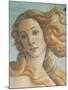 The Birth of Venus-Sandro Botticelli-Mounted Giclee Print