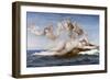 The Birth of Venus-Alexandre Cabanel-Framed Premium Giclee Print