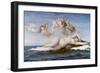 The Birth of Venus-Alexandre Cabanel-Framed Premium Giclee Print