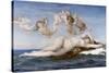 The Birth of Venus-Alexandre Cabanel-Stretched Canvas