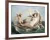 The Birth of Venus-Henri Pierre Picou-Framed Giclee Print