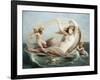 The Birth of Venus-Henri Pierre Picou-Framed Giclee Print