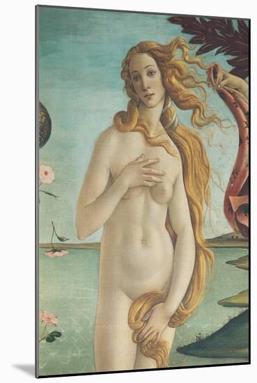 The Birth of Venus-Sandro Botticelli-Mounted Giclee Print